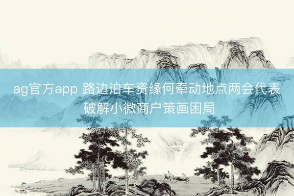 ag官方app 路边泊车资缘何牵动地点两会代表 破解小微商户策画困局