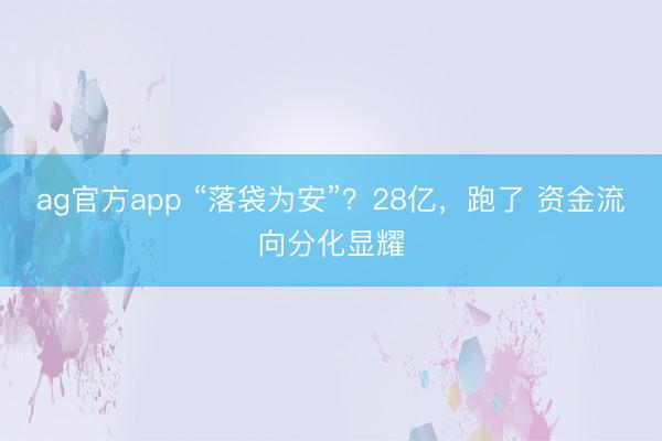 ag官方app “落袋为安”？28亿，跑了 资金流向分化显耀