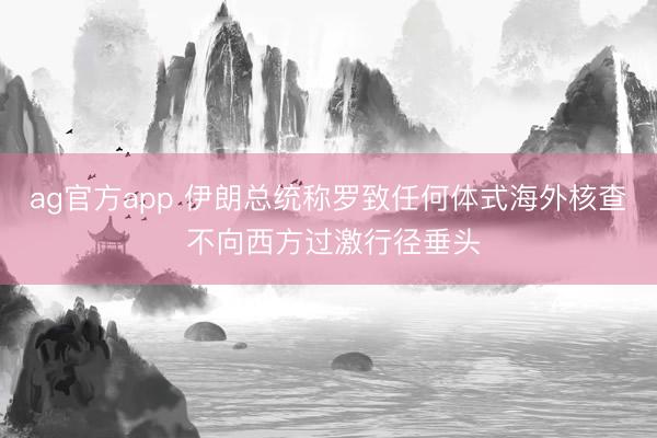 ag官方app 伊朗总统称罗致任何体式海外核查 不向西方过激行径垂头