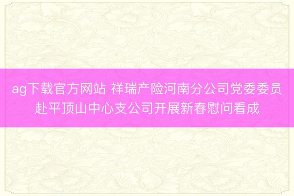 ag下载官方网站 祥瑞产险河南分公司党委委员赴平顶山中心支公司开展新春慰问看成